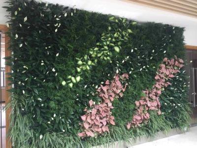 植物墙展示